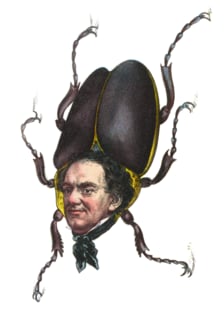 A beetle with a man’s head.