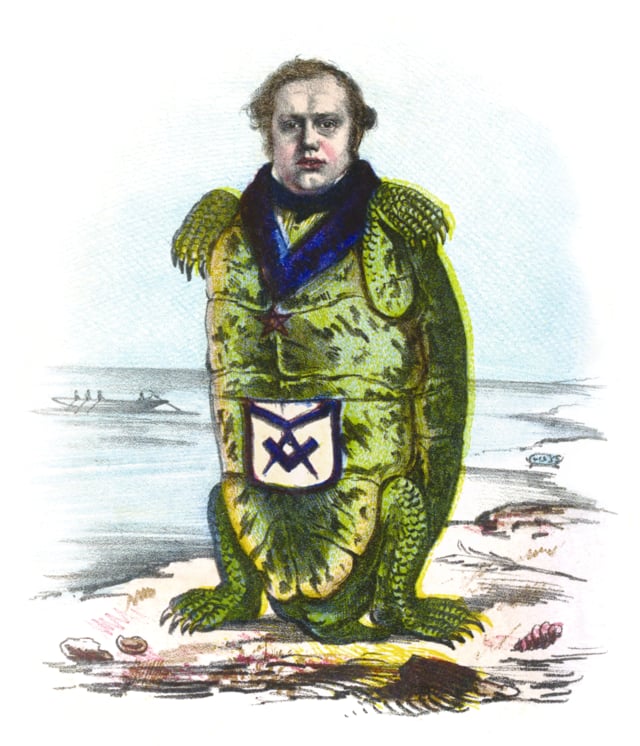 A consternated turtle with a man’s head